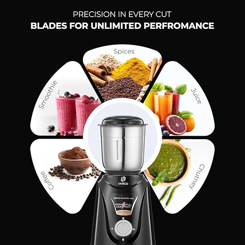 Kinsco 550W Blender Mixer