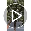 Grass Sickle Cutter Head