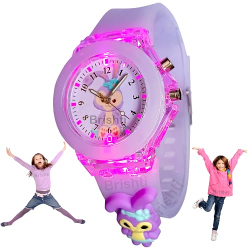 Brishti 3D Cartoon Character Multicolored