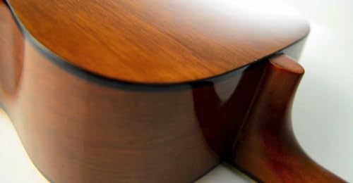 Yamaha F310 Acoustic Guitar –