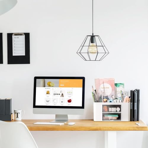 Shuttle Art Desk Organizer