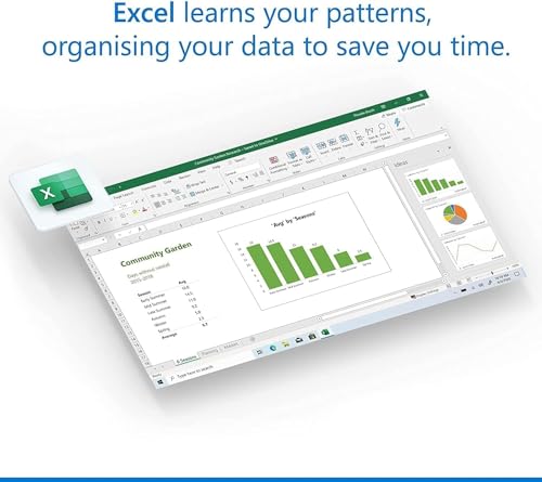 Microsoft Office Home and Business