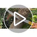 TOMAHAWK® Heavy-Duty Hand Saw 18