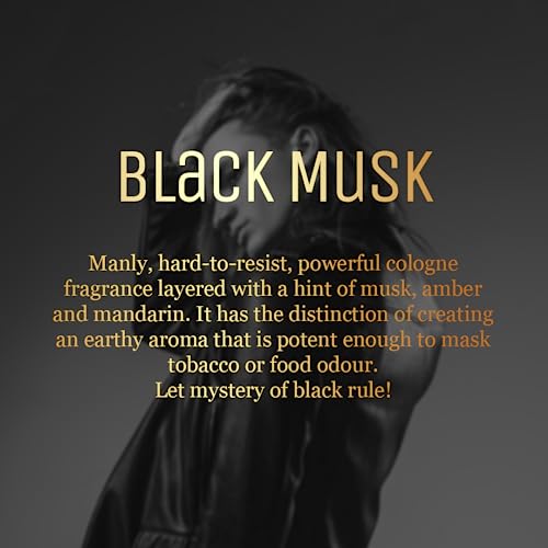 AIR-ROMA Black Musk Premium Car