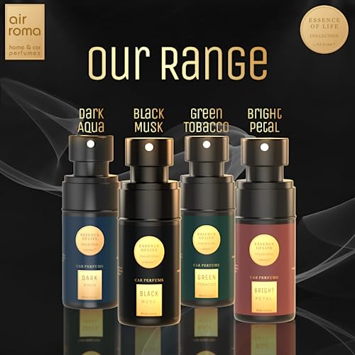 AIR-ROMA Black Musk Premium Car
