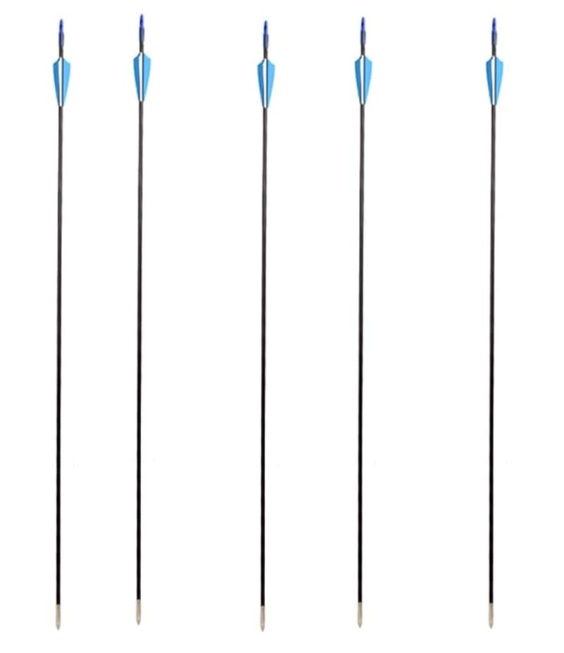 Leosoprtz Professional Archery Set