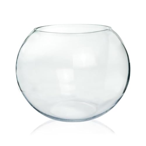 ecofynd Glass Terrarium Bowl, Fish