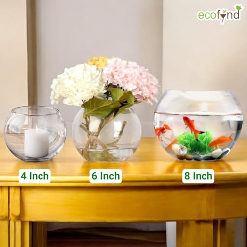 ecofynd Glass Terrarium Bowl, Fish
