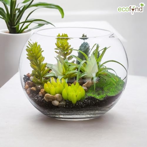 ecofynd Glass Terrarium Bowl, Fish