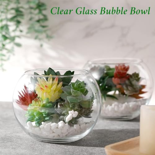 ecofynd Glass Terrarium Bowl, Fish