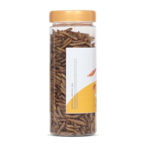 Dried Black Soldier Fly Larvae