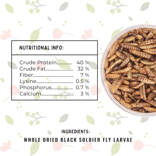 Dried Black Soldier Fly Larvae