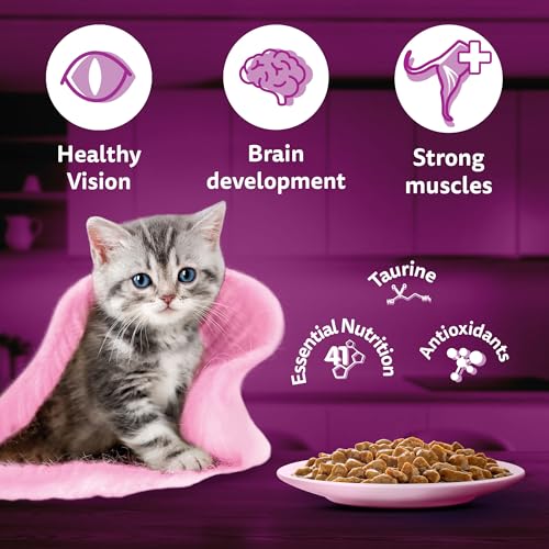 Whiskas Junior Kitten Wet Cat