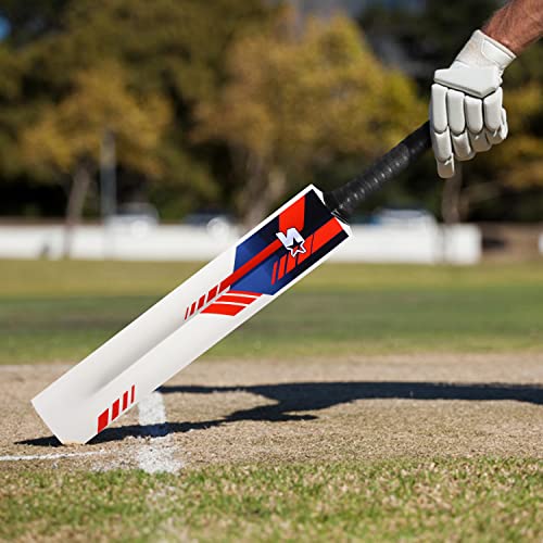 Starter Poplar Willow Cricket Bat