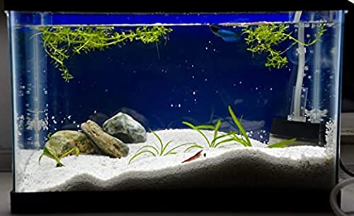 Natural Aquarium White Sand