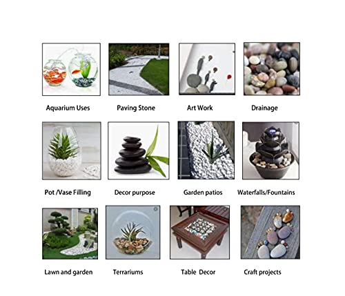 Natural Aquarium White Sand