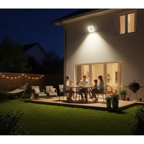 PHILIPS Aura Flood LED Light