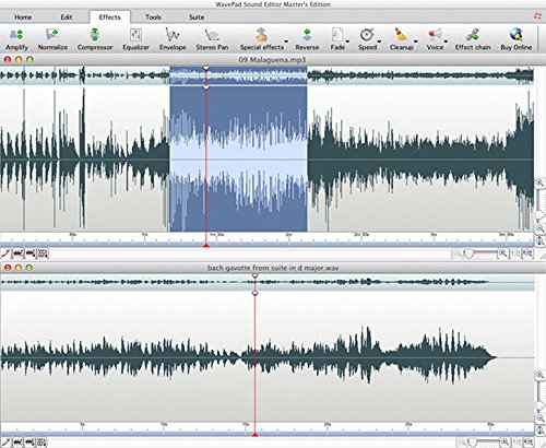 NCH Software Wavepad 5 - Image 2