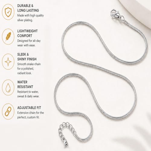VAMA FASHIONS Silver Waist Belt