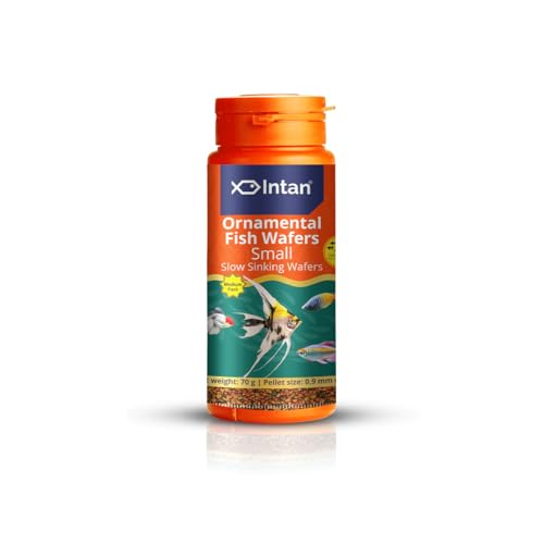 Intan Ornamental Fish Wafers