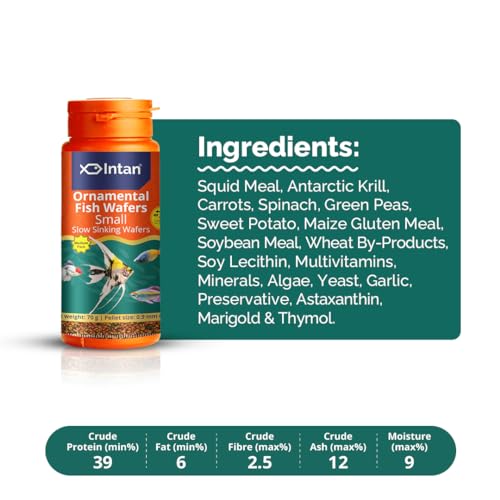 Intan Ornamental Fish Wafers