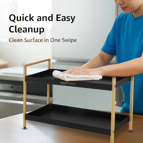 Amazon Basics 2-Tier Multipurpose Metal