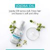 Godrej Professional Probio Keratin Revive