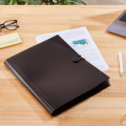 Amazon Basics Expanding File Folder