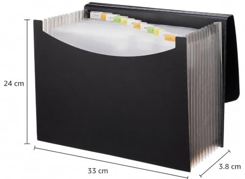 Amazon Basics Expanding File Folder