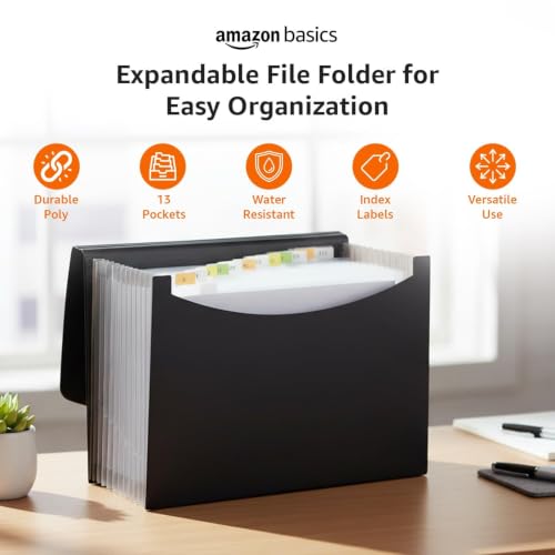 Amazon Basics Expanding File Folder