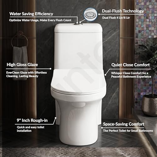 Plantex Siphonic Flush System Ceramic