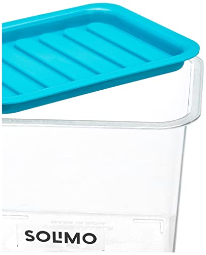 Amazon Brand - Solimo Plastic