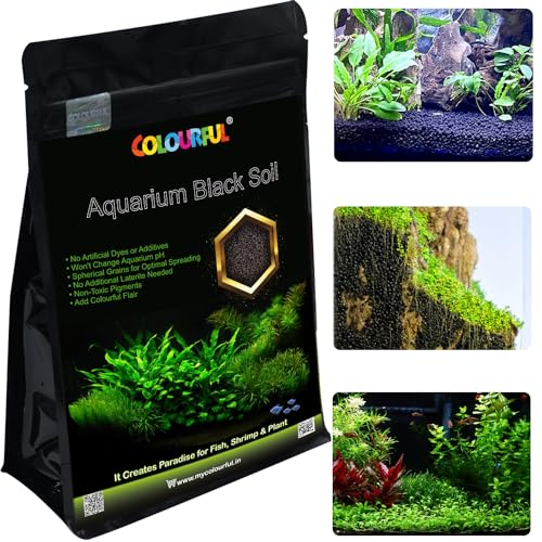 COLOURFUL AQUARIUM - Fish Tank