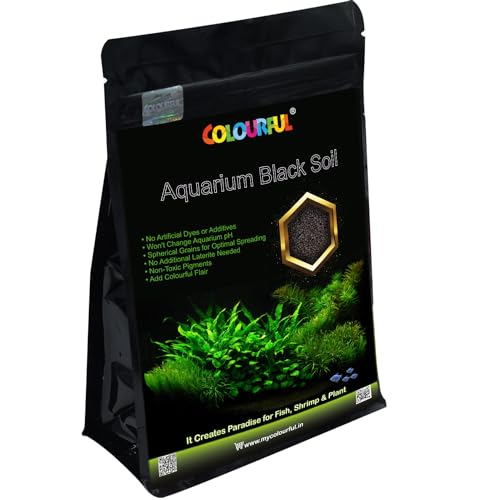 COLOURFUL AQUARIUM - Fish Tank