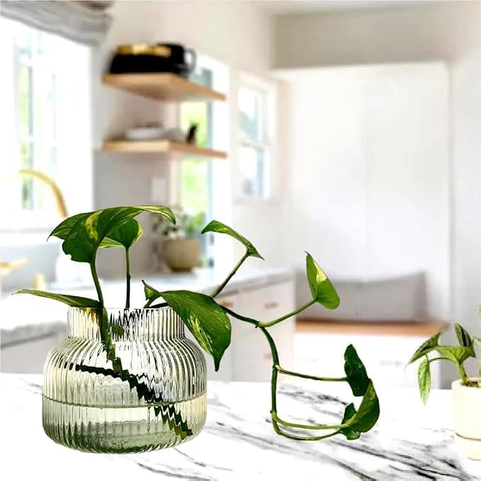 Mahganya Home Decor Centerpiece Vase