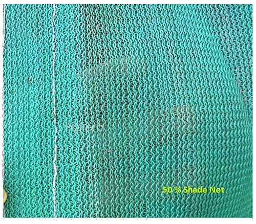Kuber Industries Dark Green Sun