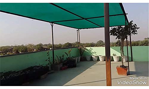 Kuber Industries Dark Green Sun