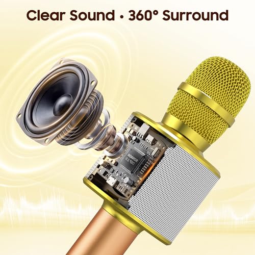BONAOK Wireless Bluetooth Karaoke Microphone,3-in-1