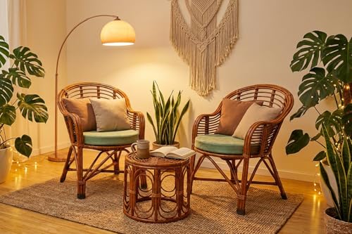CANE CRAFTS Premium Bamboo Chair