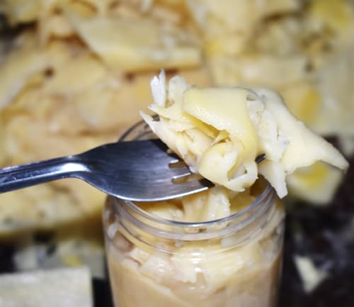 BURUNG Fermented Bambooshoot SLICED LARGE