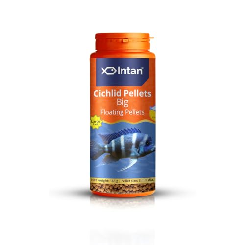 Intan Cichlid Pellets | 165gm