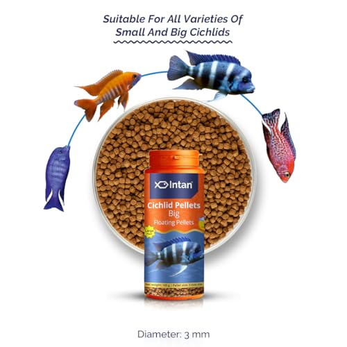 Intan Cichlid Pellets | 165gm