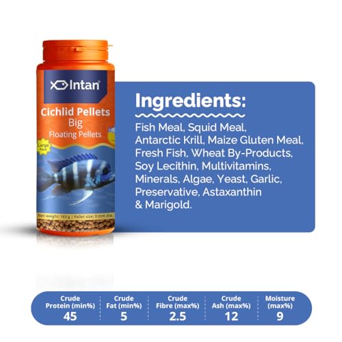 Intan Cichlid Pellets | 165gm