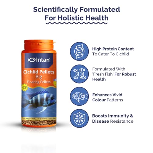 Intan Cichlid Pellets | 165gm