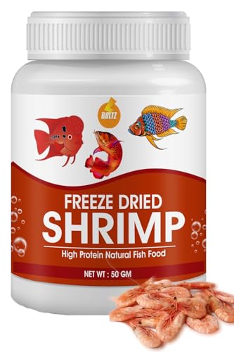 BOLTZ Freeze Dried Shrimp 50gm