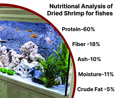 BOLTZ Freeze Dried Shrimp 50gm