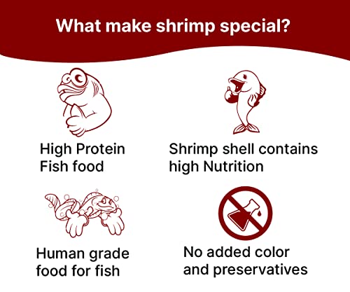BOLTZ Freeze Dried Shrimp 50gm