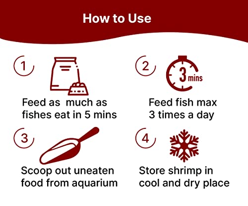 BOLTZ Freeze Dried Shrimp 50gm
