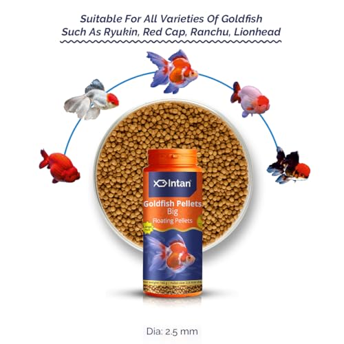 Intan Goldfish Pellets | 145gm