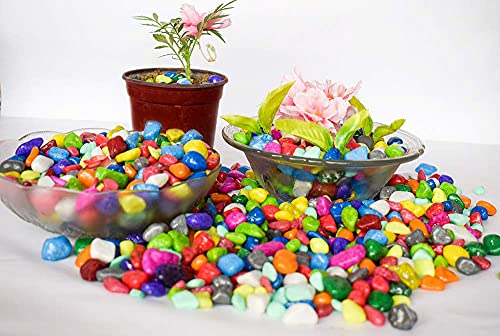 Multi-Color Stone Glossy and Decorative